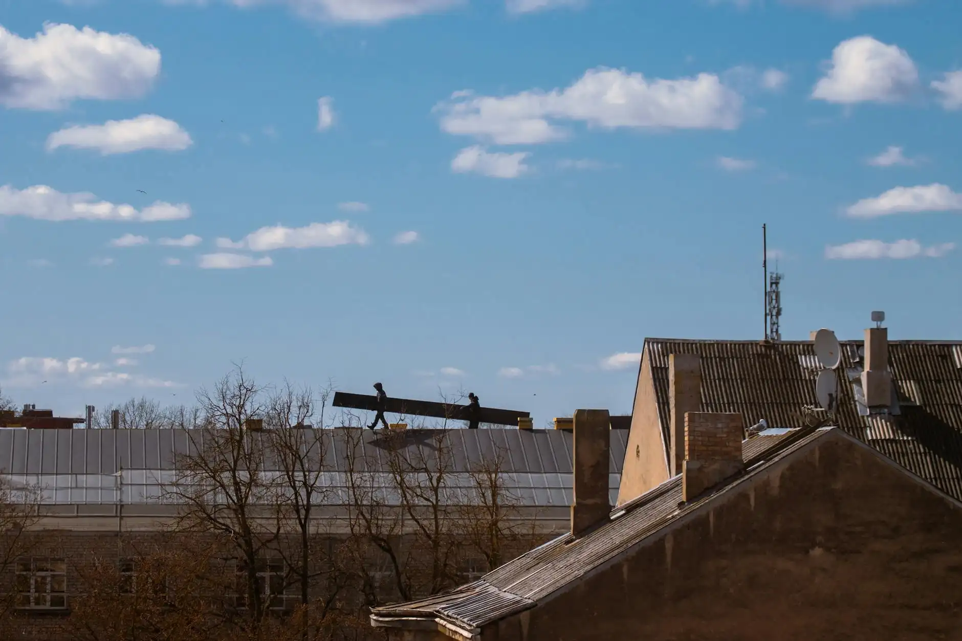 Сергей Новиков Portfolio 6